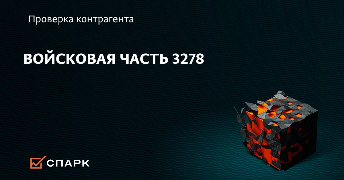 Представитель в депутаты от войсковой части 3278 в 1991 году